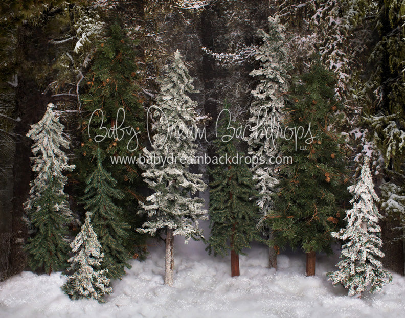 Place in the Pines Simple - 8x10 - JA