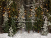 Place in the Pines String Lights - 60Hx80W- JA  