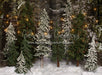 Place in the Pines String Lights - 6x8 - JA