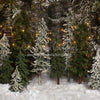 Place in the Pines String Lights - 8x8 - JA 