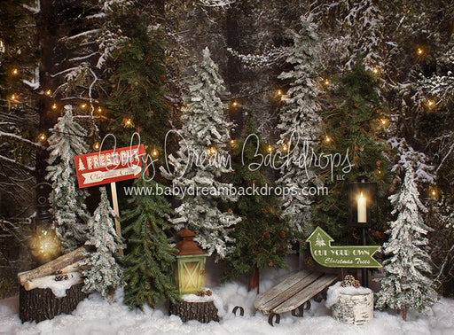 Place in the Pines Tree Farm - 60Hx80W - JA  