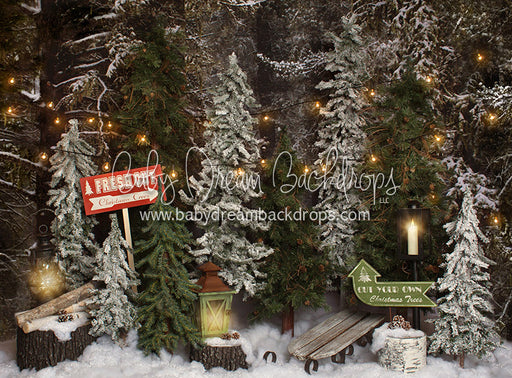 Place in the Pines Tree Farm - 6x8 - JA  