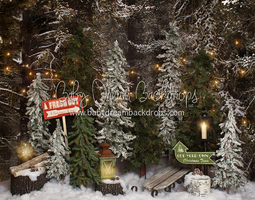 Place in the Pines Tree Farm - 8x10 - JA