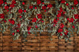 Poinsettia Pallets