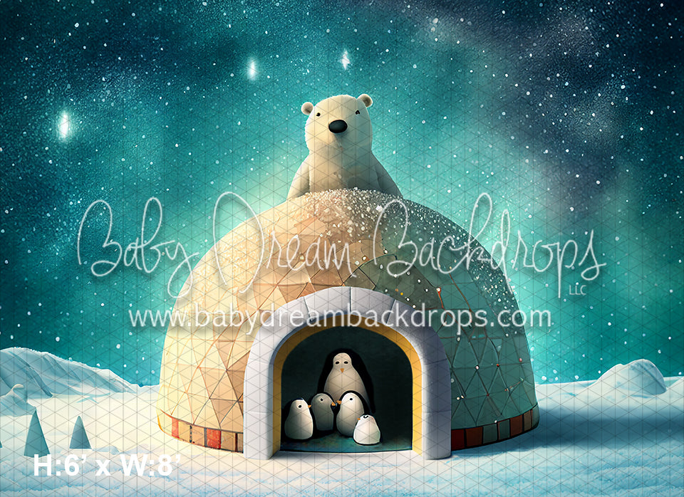 Polar Bear Igloo (AZ)