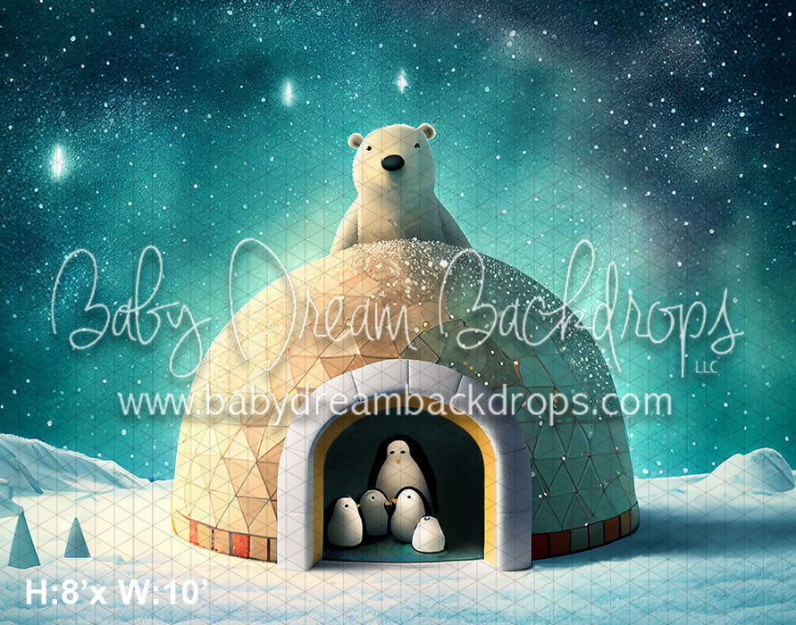 Polar Bear Igloo (AZ)