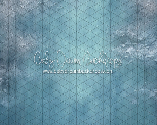 Pond Skating Fabric Floor (LL)