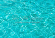 Pool Time Water Floor