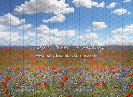 Poppy Perfection (CC)