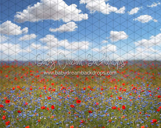 Poppy Perfection (CC)