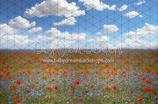 Poppy Perfection (CC)