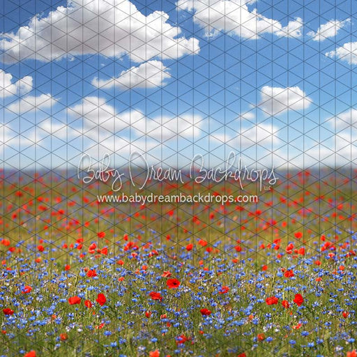 Poppy Perfection (CC)