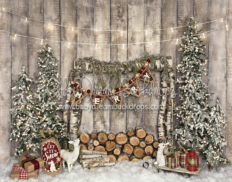 Pop's Cabin - 8x10 - JA