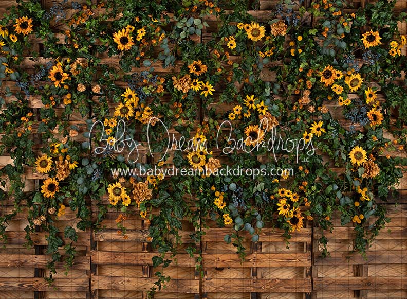 X Drop posh pallets jaclynn