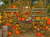 Pumpkin Patch Painted 60hx80w CS  