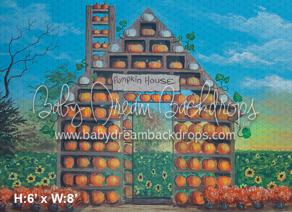 Pumpkin House 23 (JES)