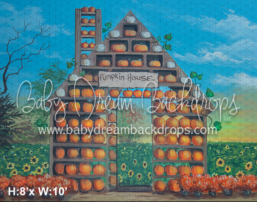 Pumpkin House 23 (JES)