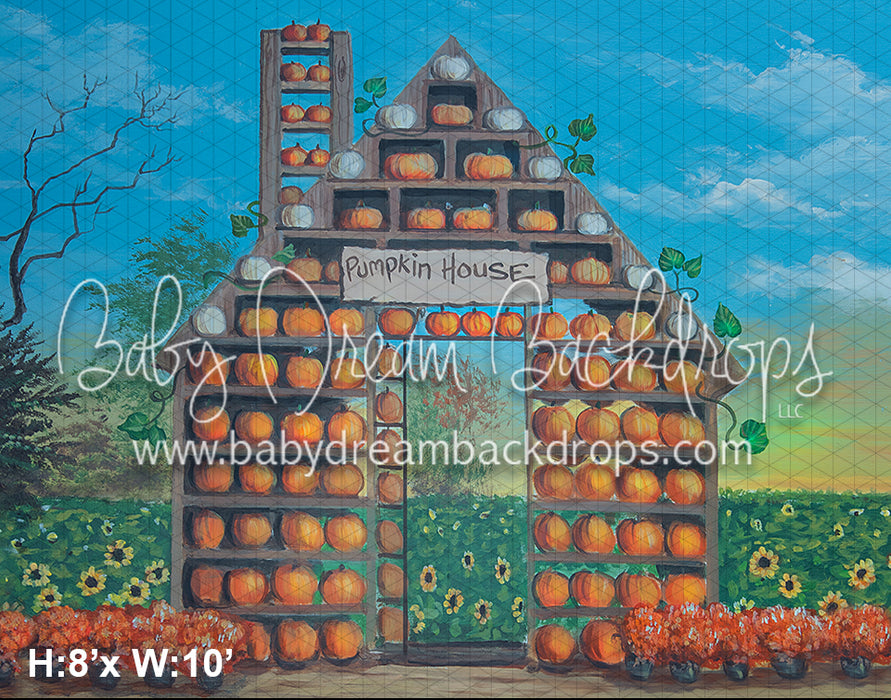 Pumpkin House 23 (JES)