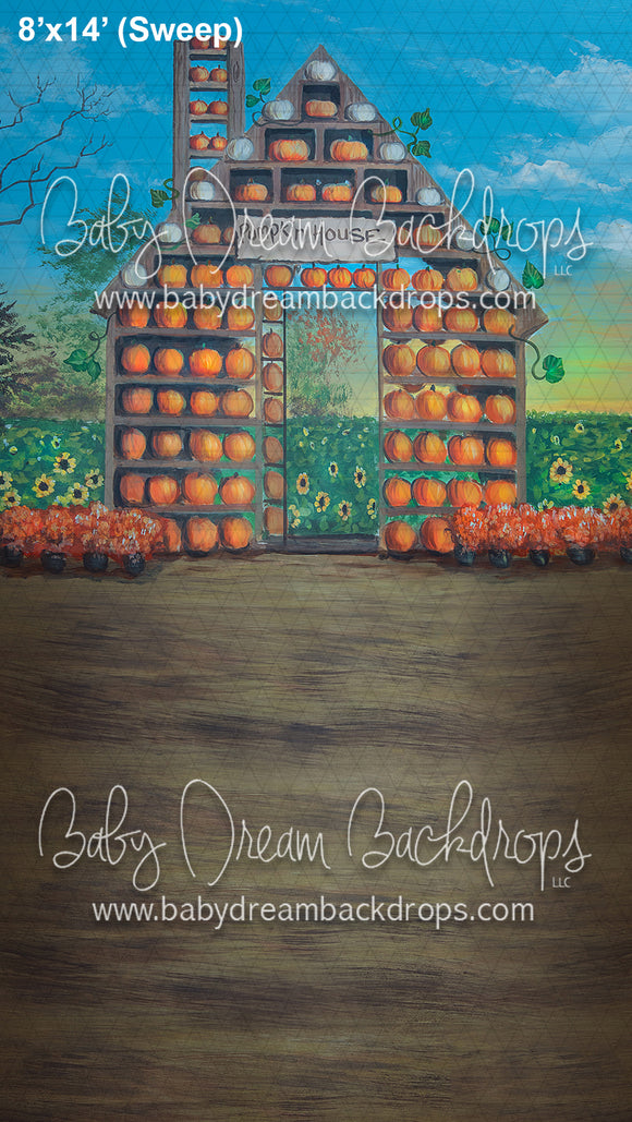 Sweep Pumpkin House 23 (JES)