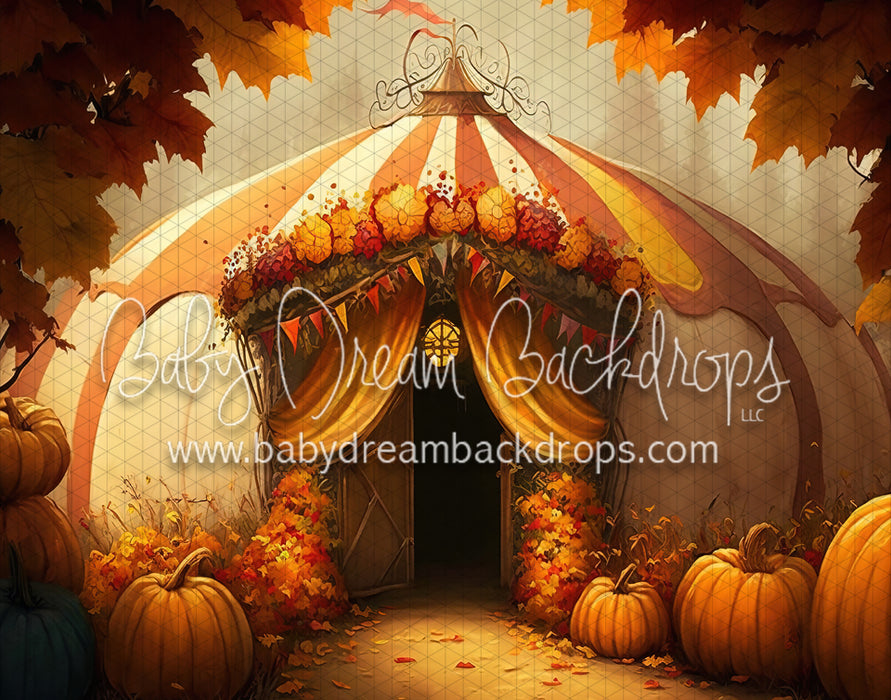 Pumpkin Carnival (MD)