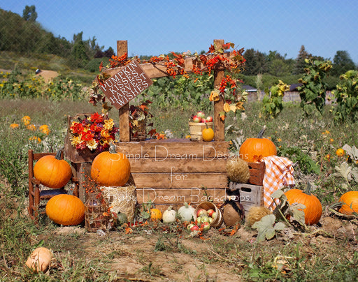Pumpkin Patch