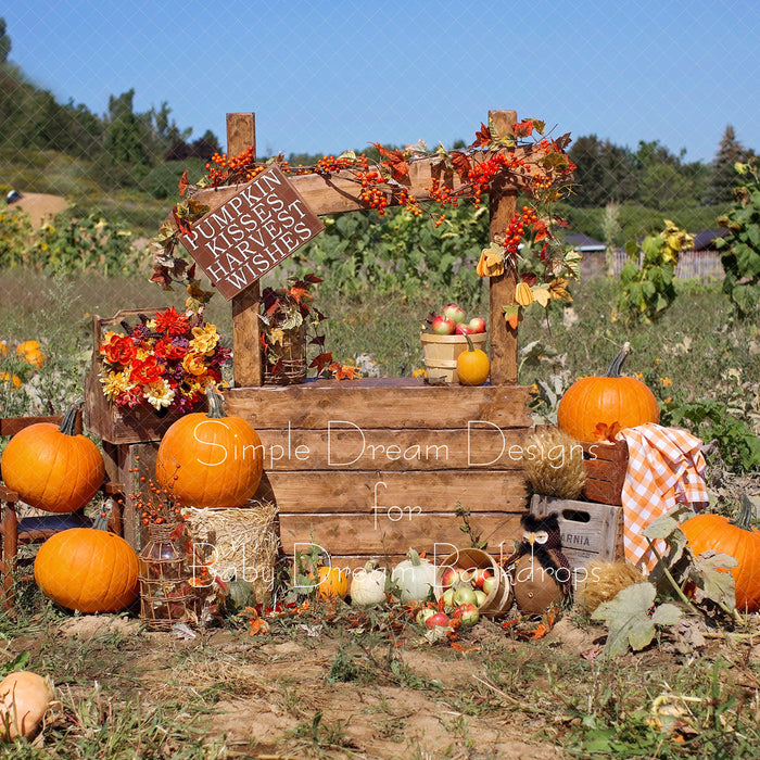 X Drop pumpkin patch