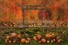Pumpkin Picking Autumn Entrance (JA)