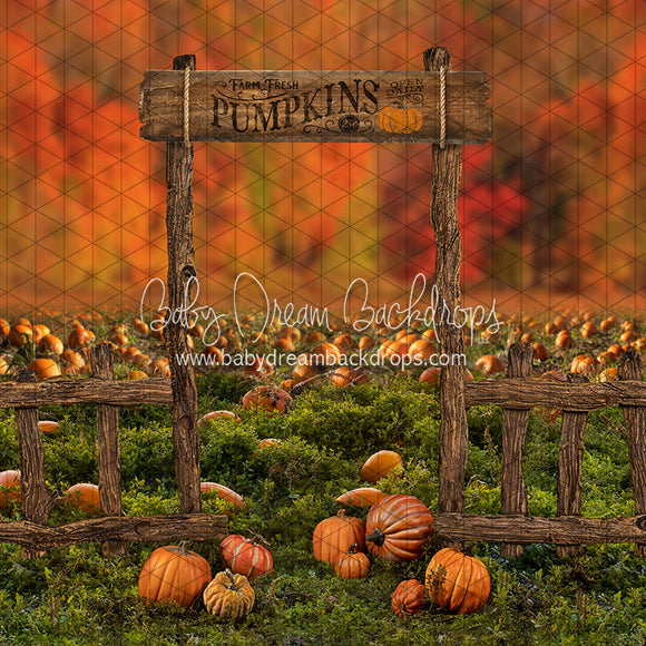 X Drop pumpkin picking autumn entrance ja