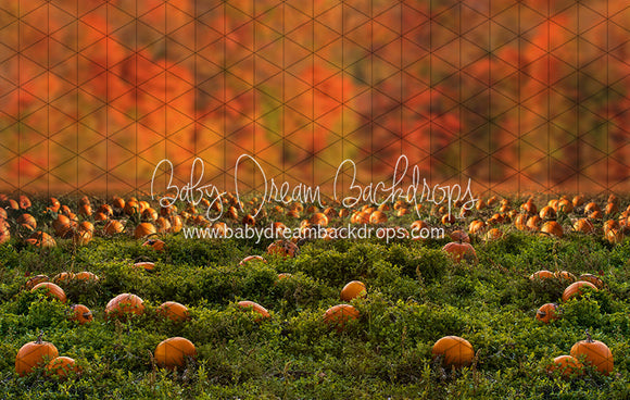Pumpkin Picking Autumn Field (JA)