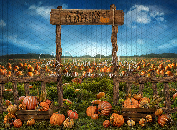 Pumpkin Picking Entrance (JA)