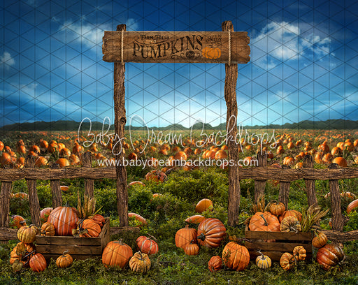 Pumpkin Picking Entrance (JA)