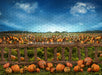 Pumpkin Picking Fence (JA)