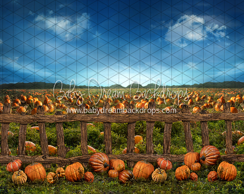 Pumpkin Picking Fence (JA)