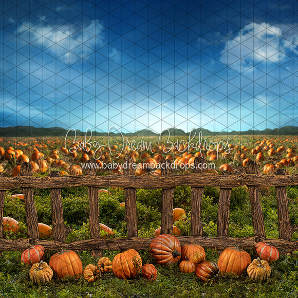 X Drop pumpkin picking fence ja