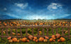 Pumpkin Picking Fence (JA)
