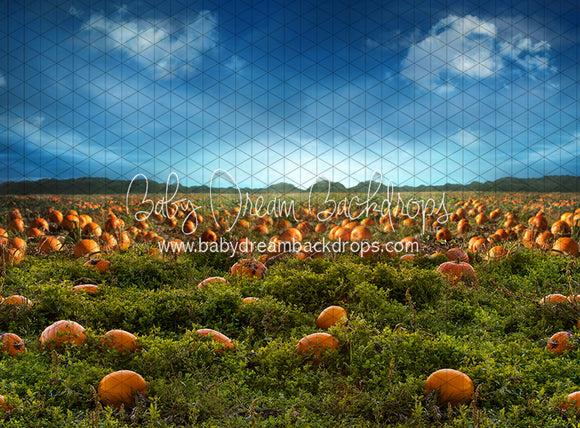 Pumpkin Picking Field (JA)