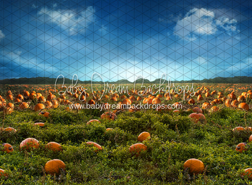 Pumpkin Picking Field (JA)