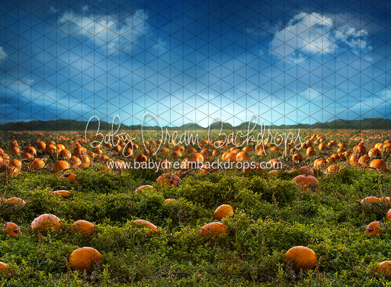 Pumpkin Picking Field (JA)