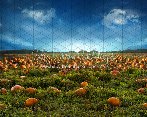 Pumpkin Picking Field (JA)