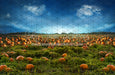 Pumpkin Picking Field (JA)
