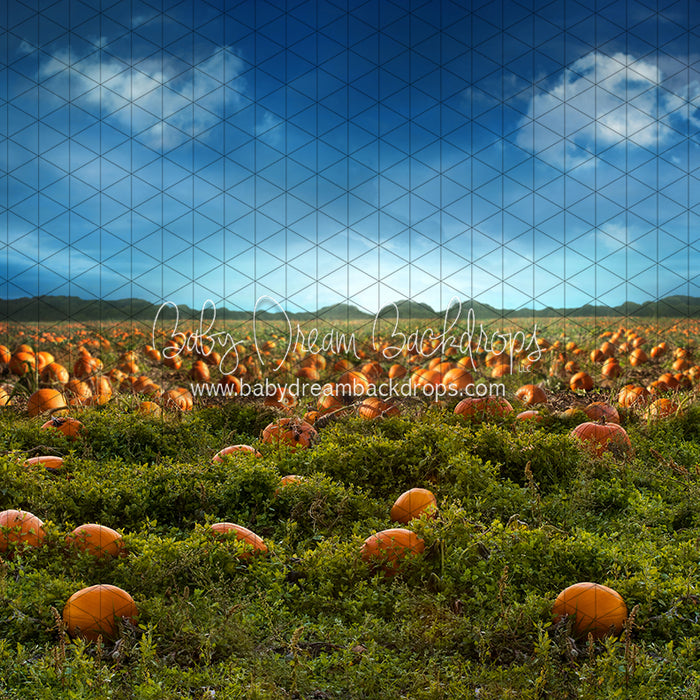 Pumpkin Picking Field (JA)