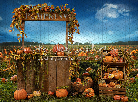 Pumpkin Picking Stand (JA)