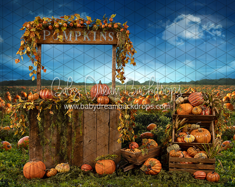 Pumpkin Picking Stand (JA)