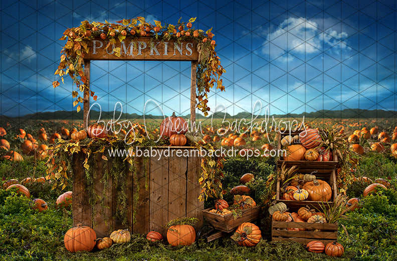 Pumpkin Picking Stand (JA)