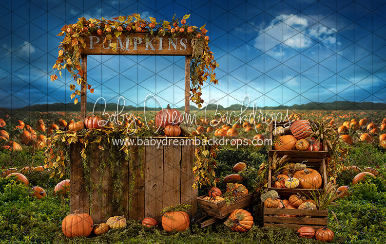 Pumpkin Picking Stand (JA)