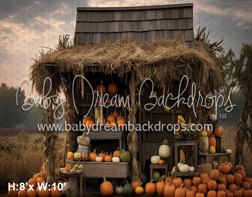 Pumpkin Stand 1 (SM)