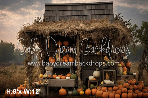 Pumpkin Stand 1 (SM)