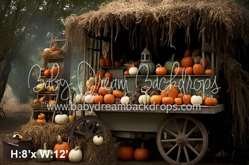 Pumpkin Stand 2 (SM)