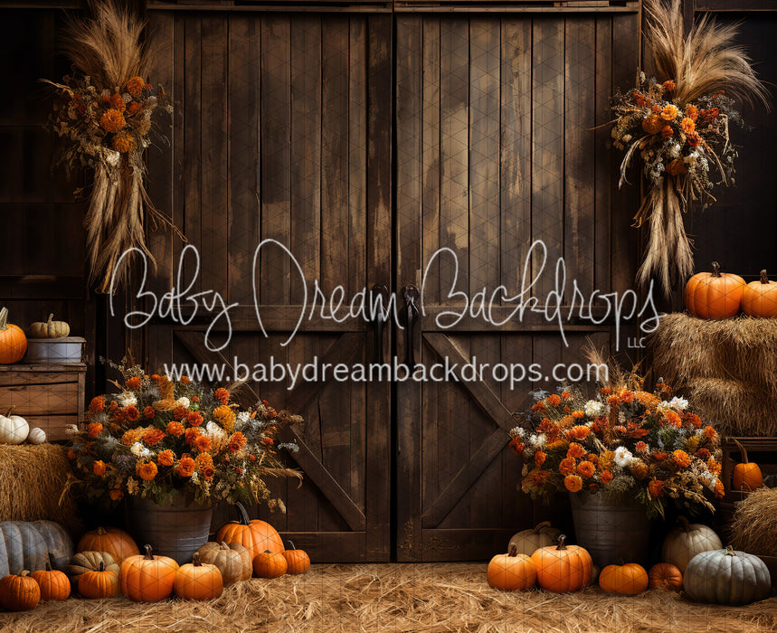 Pumpkins by the Barn Doors (JA)