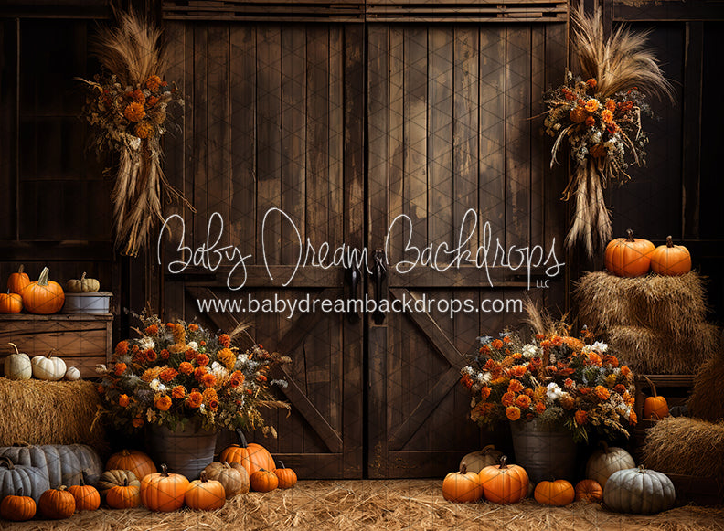 Pumpkins by the Barn Doors (JA)